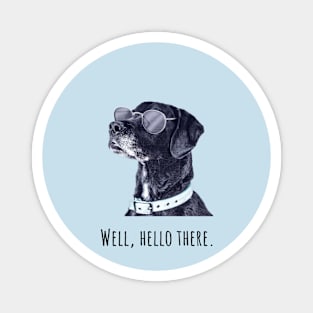 Well, hello there. Dog in Sunglasses Magnet